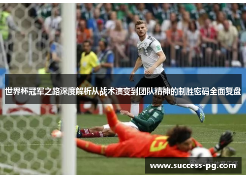 世界杯冠军之路深度解析从战术演变到团队精神的制胜密码全面复盘