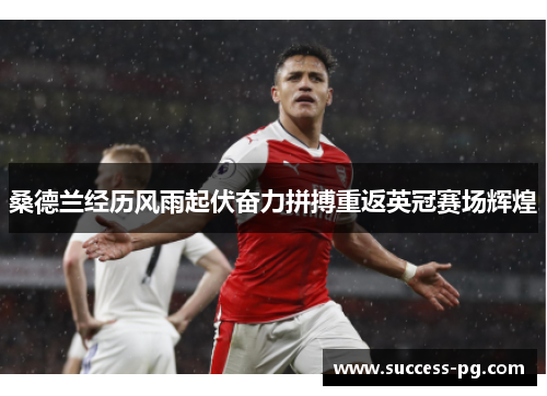 桑德兰经历风雨起伏奋力拼搏重返英冠赛场辉煌