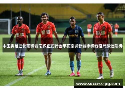 中国男足归化前锋费南多正式转会申花引发新赛季锋线格局球迷期待